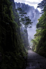 挑山工