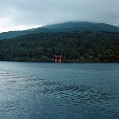 湖中鳥居