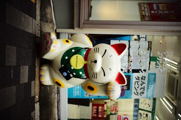 新宿・高田馬場