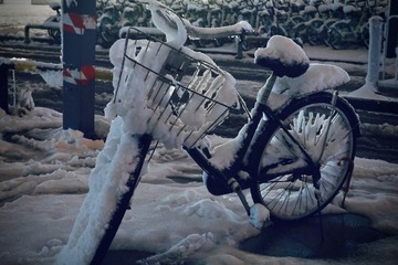 D6830A0C-3D43-44B5-9EB0-F1778765D0BE/L0/001