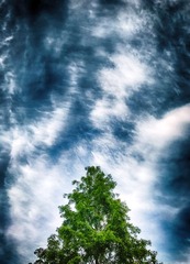 IMG_3121-4