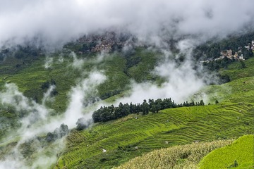 梯田