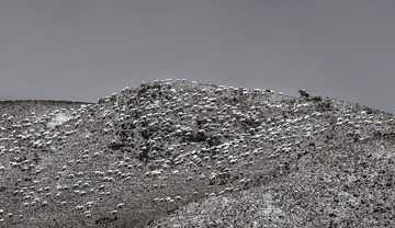 DSC06448a