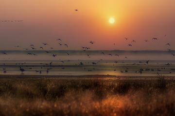 DSC08894a