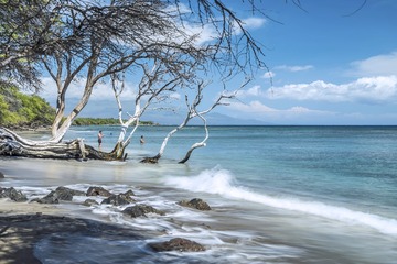 海岸