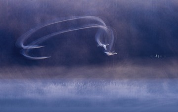 长风万里