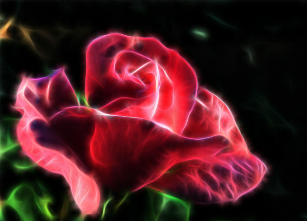 刘勇良特效摄影燃烧的玫瑰