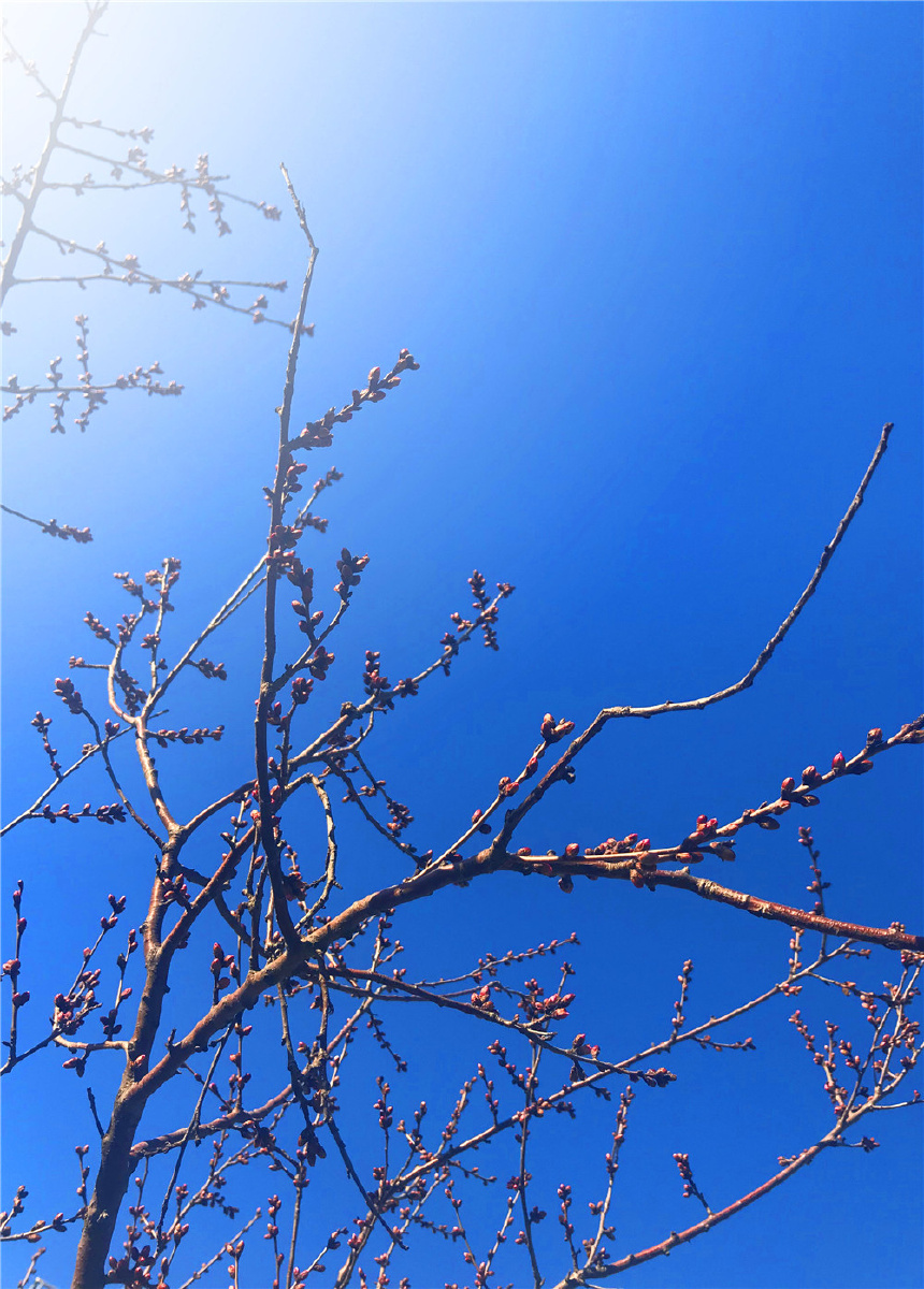 860_1200竖版 竖屏