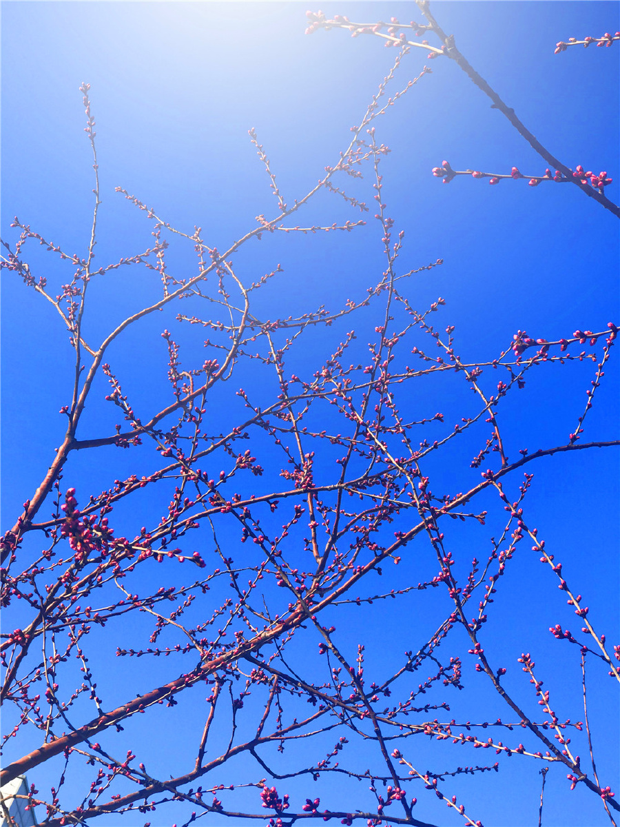 900_1200竖版 竖屏