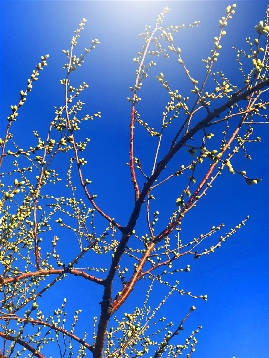 900_1200竖版 竖屏