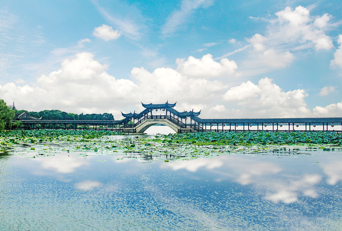 锦溪古莲长堤风光
