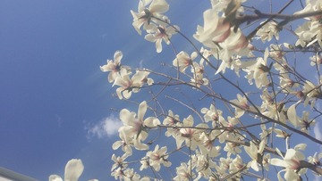 20160329_151437