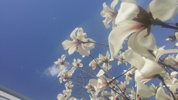 20160329_151418