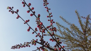 20160405_095258