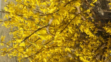 20160405_101723