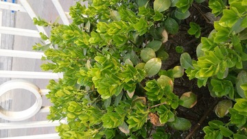 20160406_070440