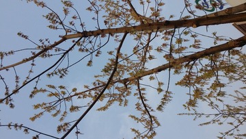 20160406_070433