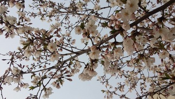 20160406_094550