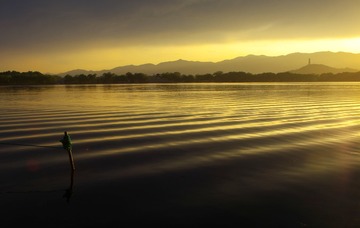 IMGP7328_