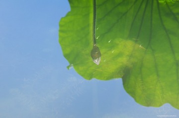 IMGP8369_