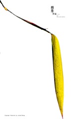 IMGP0170_