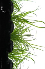 IMGP8687_