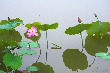 IMGP8466_