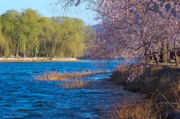 IMGP7868_
