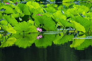 IMGP7549_