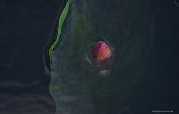 IMGP8500_