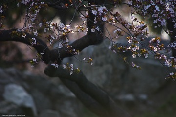 IMGP5563_