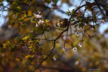 IMGP5693_