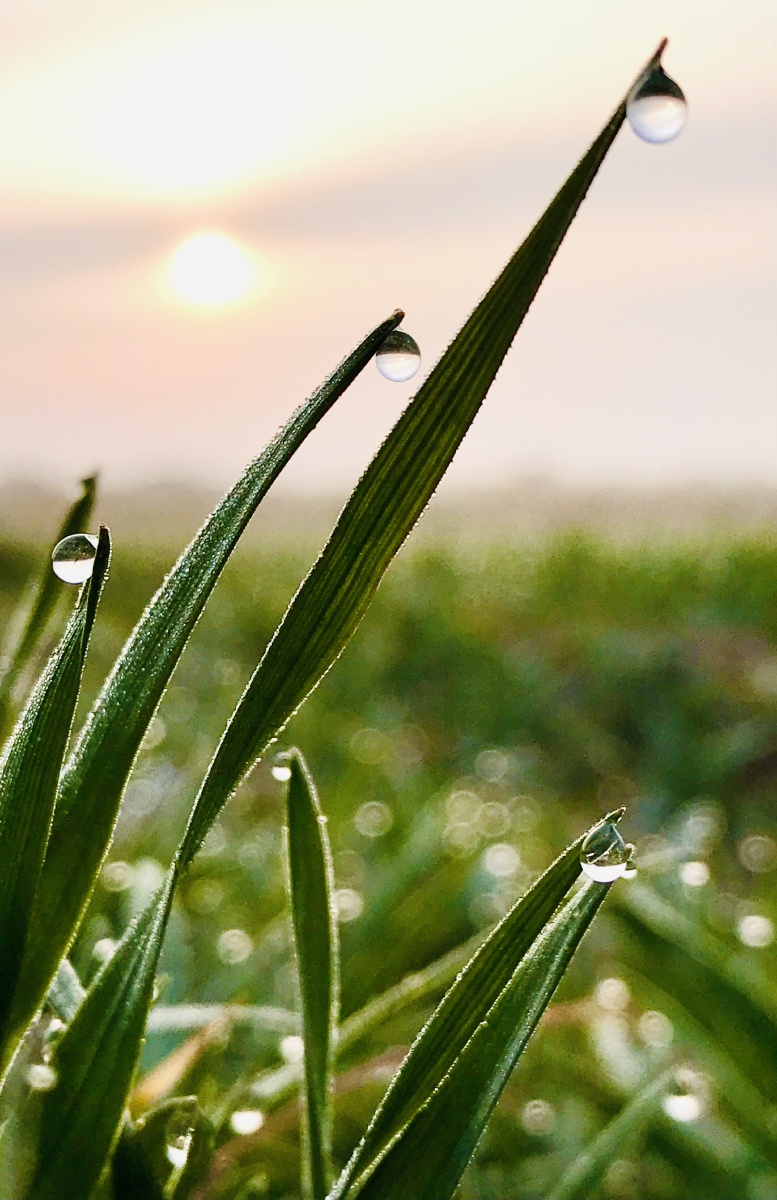 希望- 双目水母 - 图虫