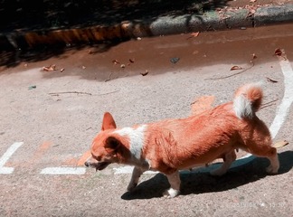 9850