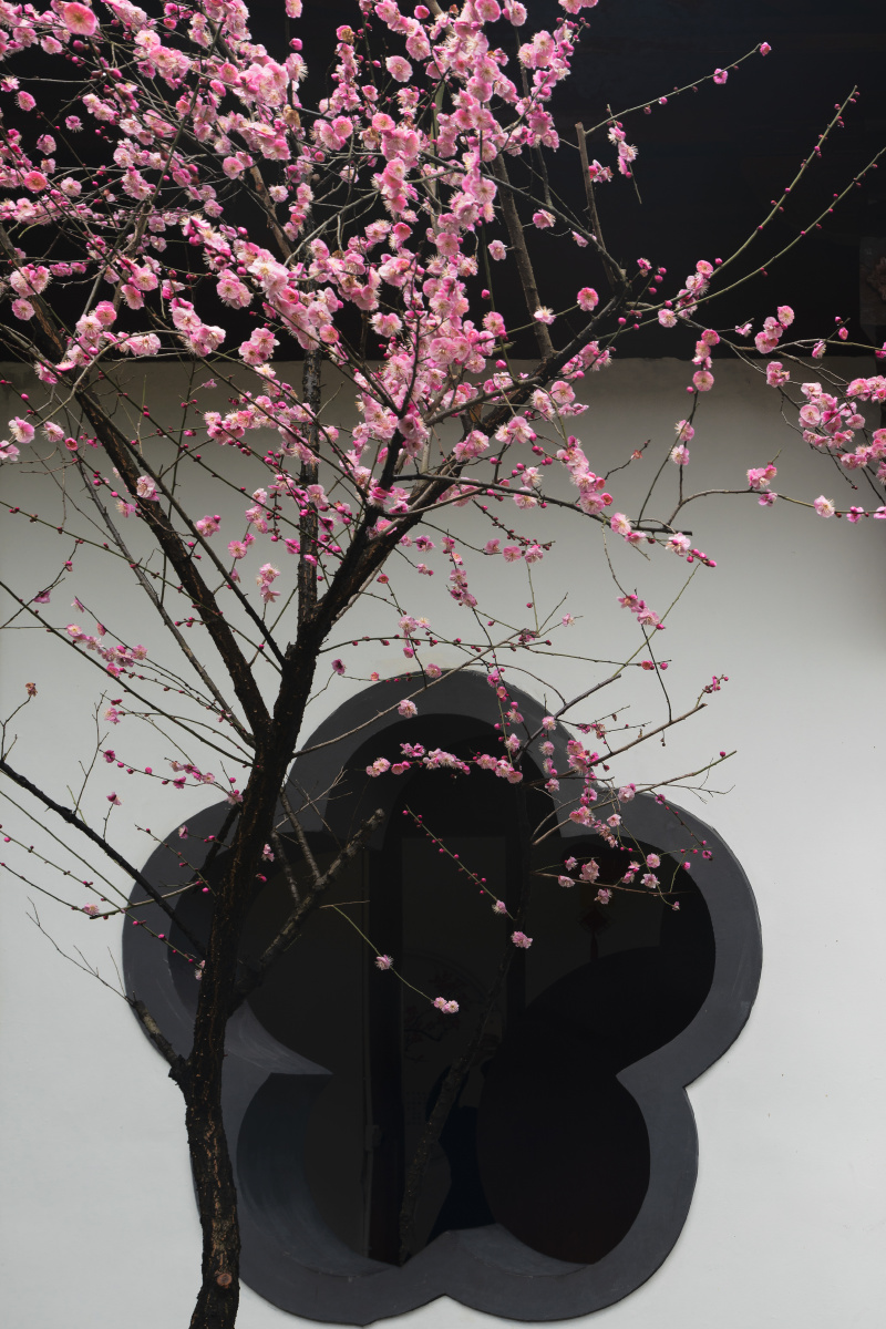 梅花窗与梅花