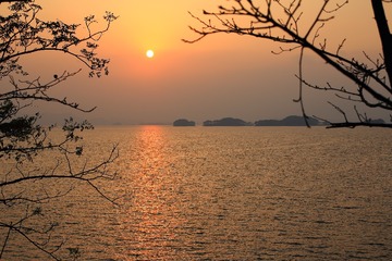 夕阳1