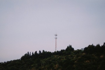 2645711