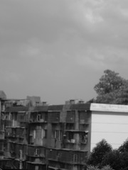 2663806