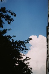 2645709