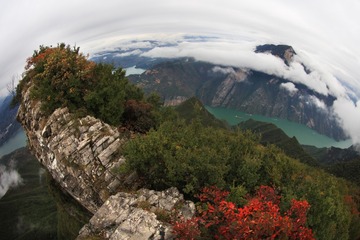 首次从这个角度展现三峡红叶之美（王正坤摄） (6)
