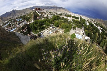 _J9A3896