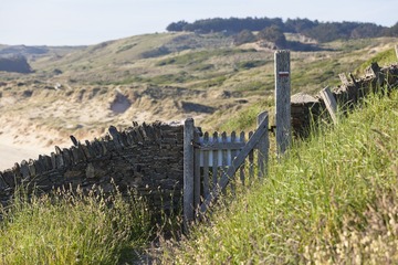 ZDM_0647