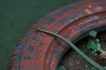 198236