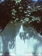 2016-07-29 01.36.58 1