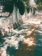 2016-07-29 04.09.53 1