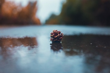 24509