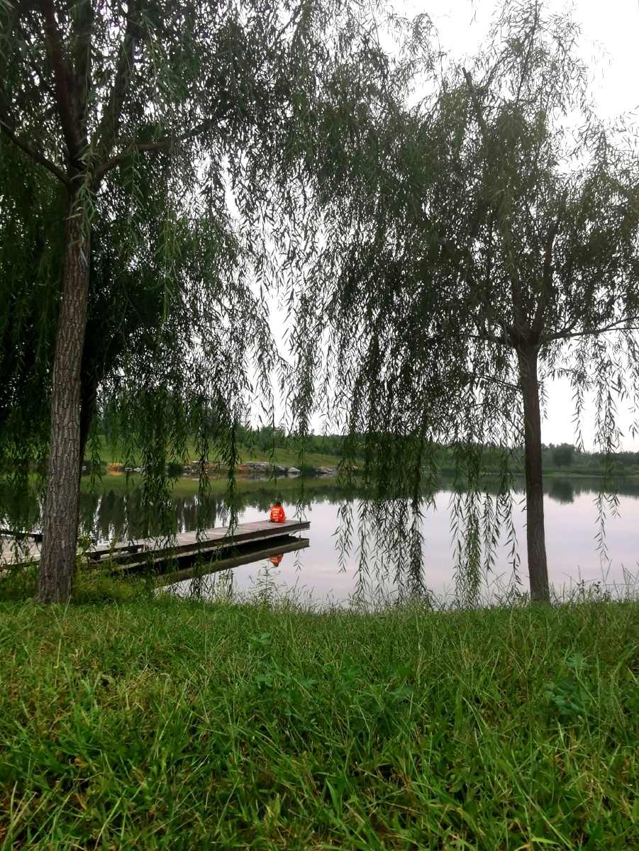 家附近的湿地公园