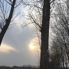 38CA8AA1-1C71-44AB-BB77-77CC3AE3FD0F/L0/001