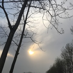 31830C41-59EA-47E0-B295-1D9B30EA53F5/L0/001