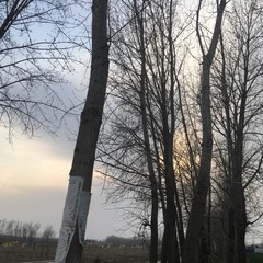 5F2D656D-B19E-4C7C-B72C-D9EE7ACAD23C/L0/001